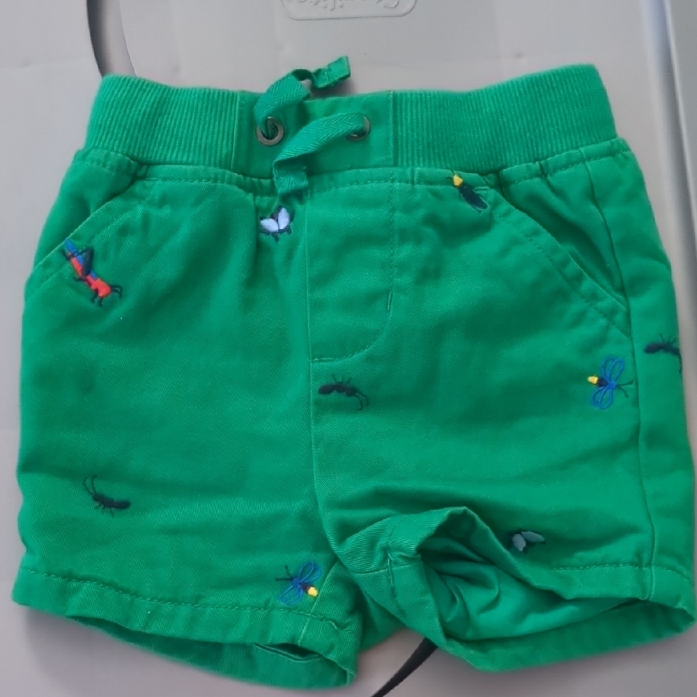 Hanna Andersson Green Shorts with Embroidered Bugs